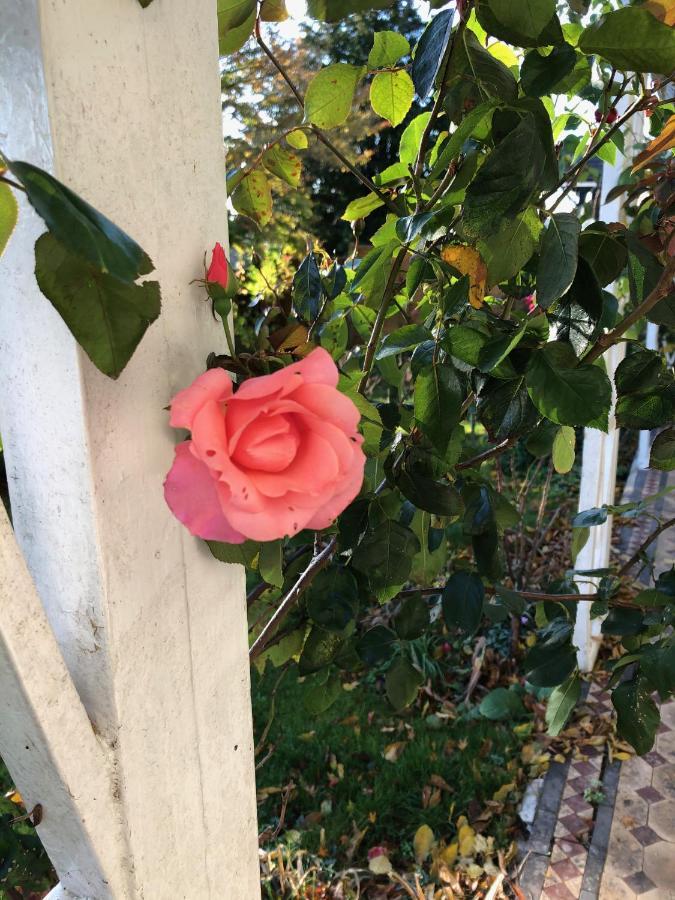 Hartree Guest House 뉴턴애벗 외부 사진